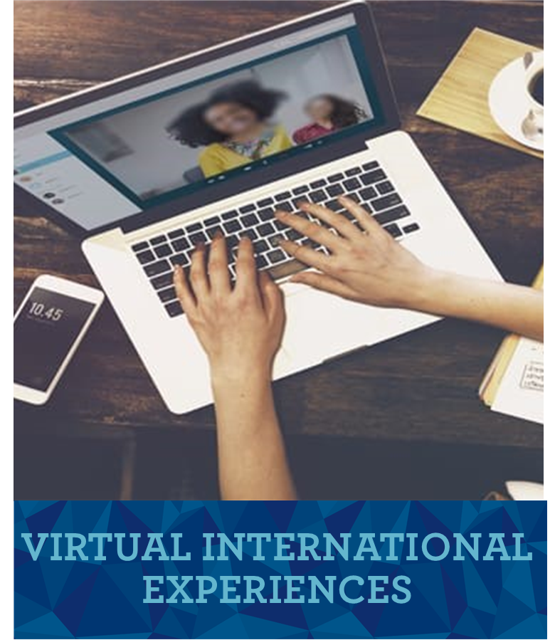 Virtual International Experiences icon